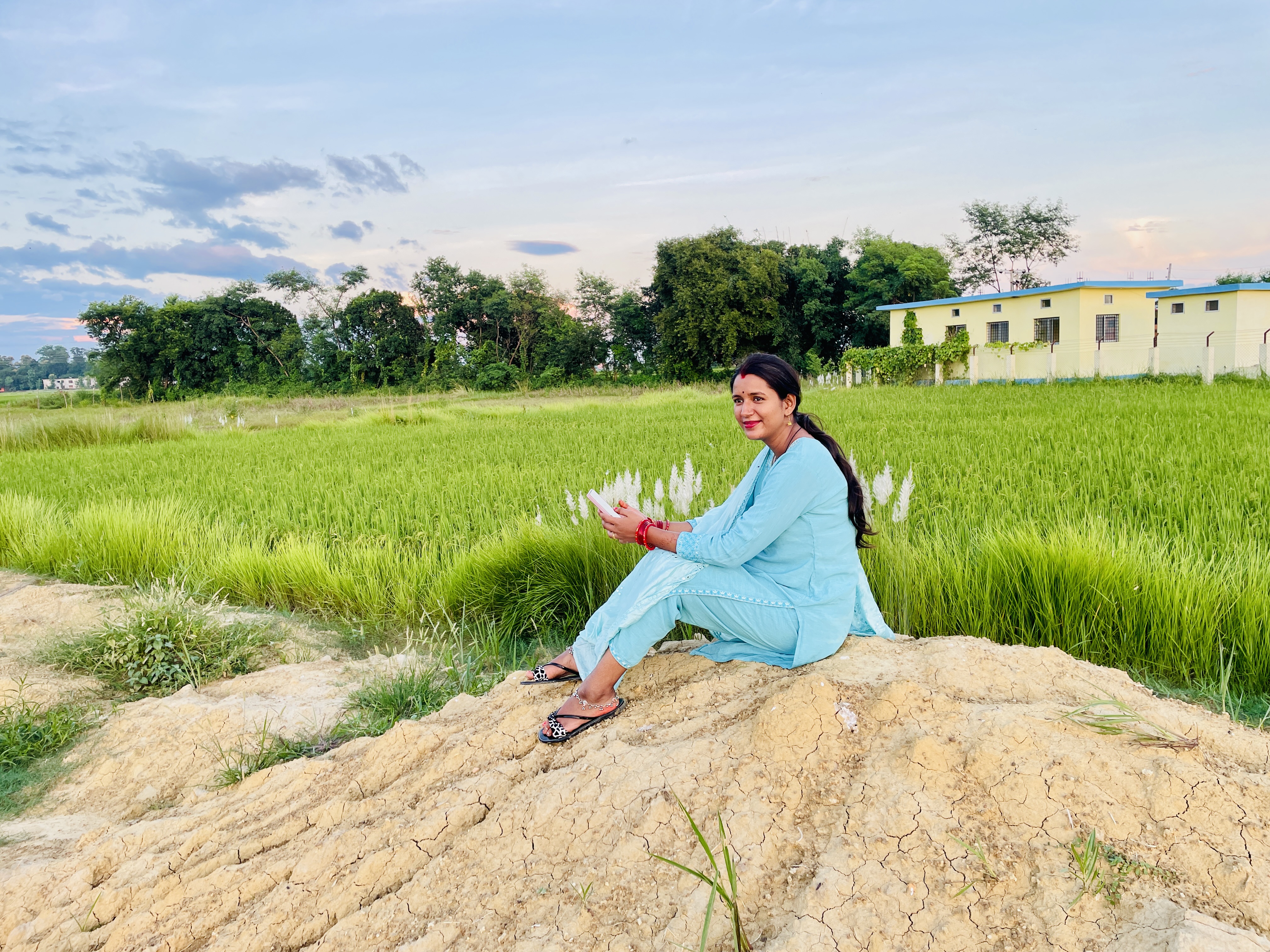 Paddy field at Vedic Farm